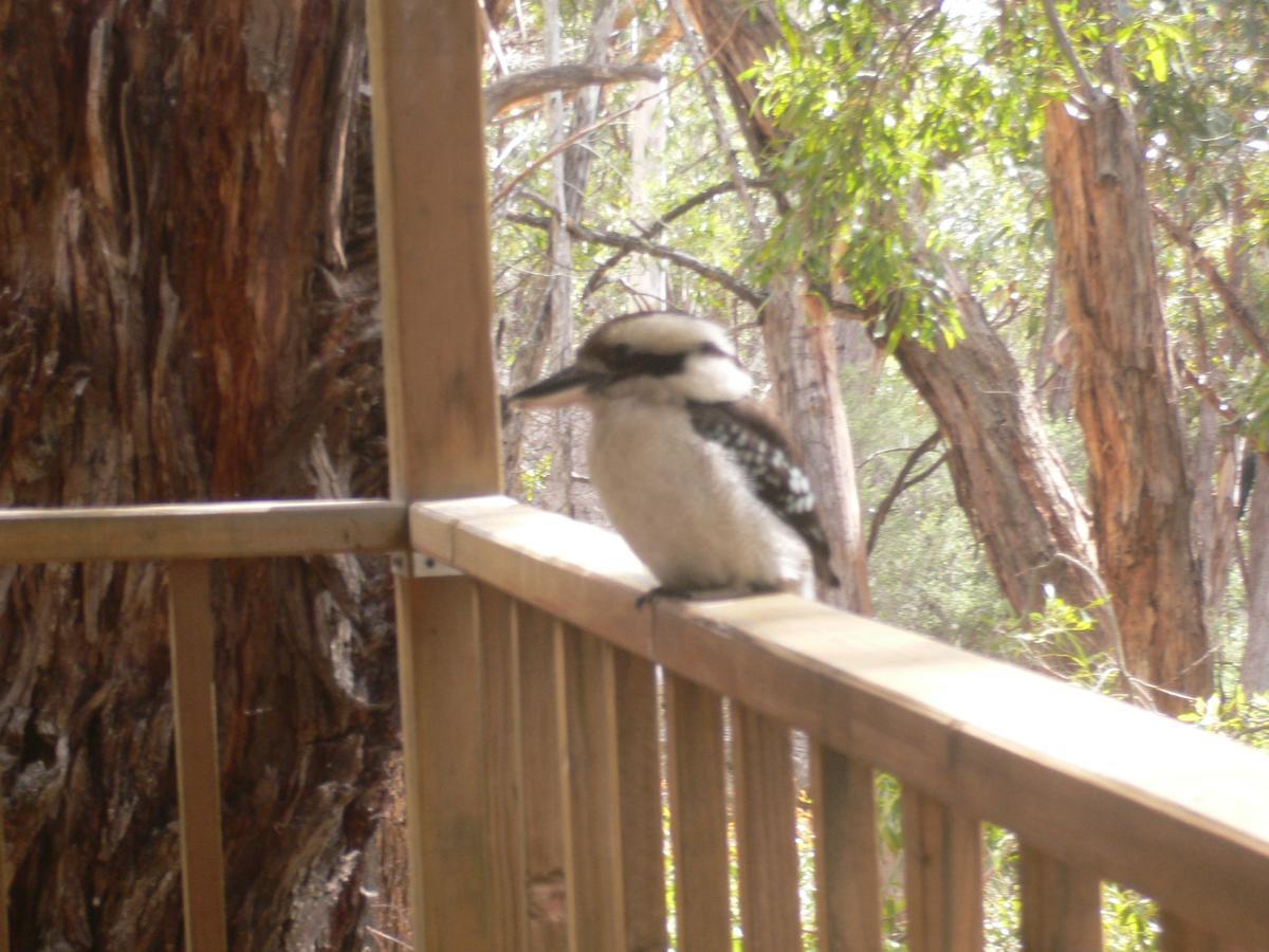 The Ledge Holiday House Villa Halls Gap Exterior foto